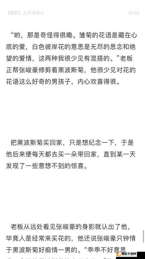 我们四个人换着玩的小说叫什么创意无穷：四人换玩，无尽乐趣